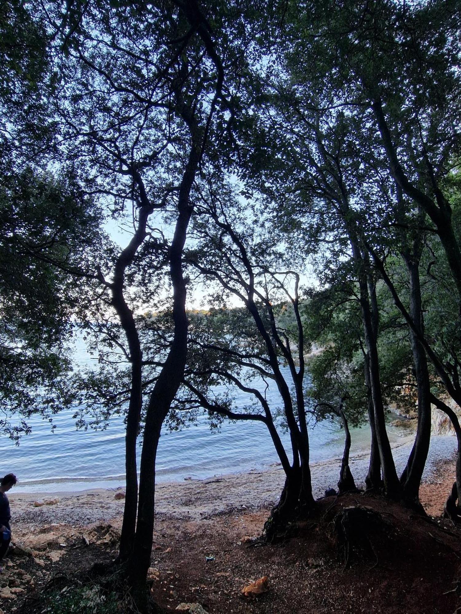 Istria Sea Side Apartment 210 & 209 Labin  Εξωτερικό φωτογραφία